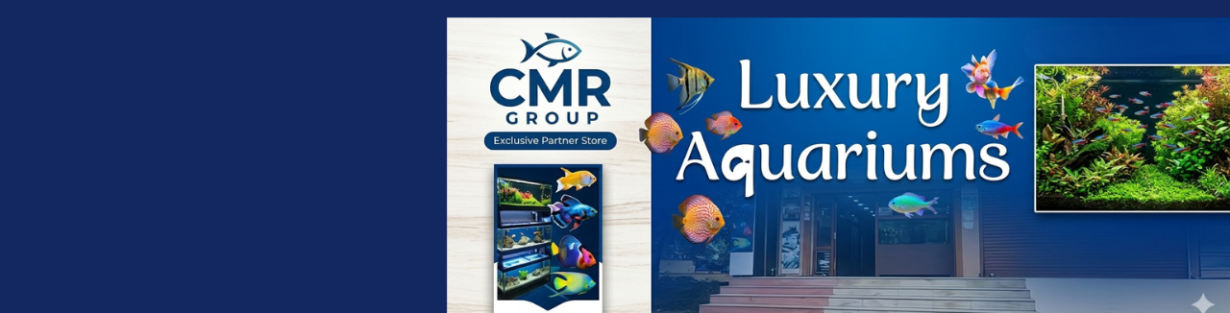 Store Banner