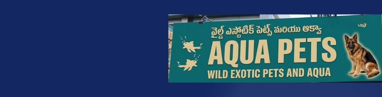 Store Banner