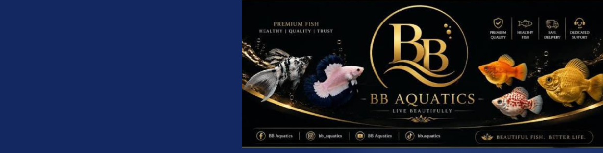 Store Banner