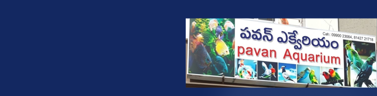 Store Banner