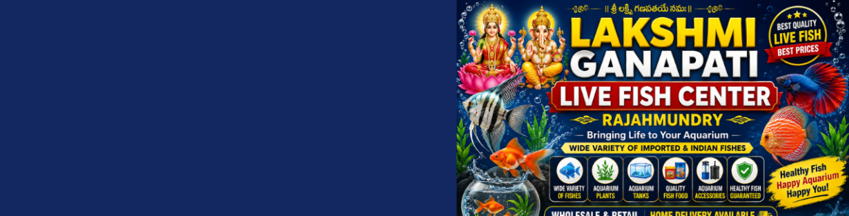 Store Banner