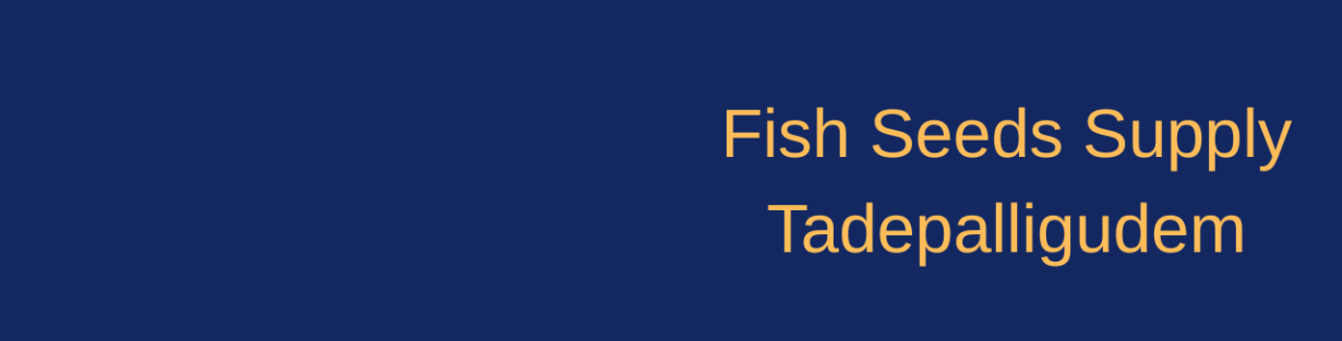 Store Banner