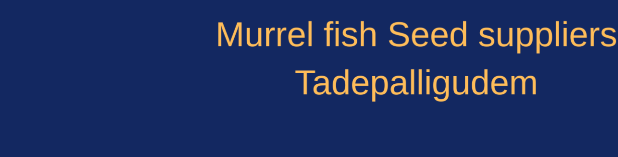 Store Banner
