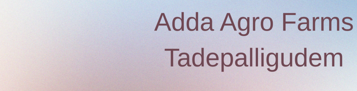 Store Banner