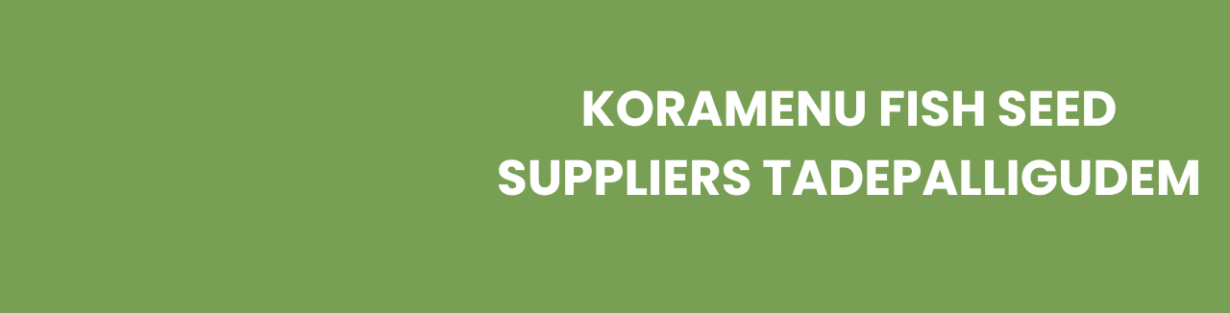 Store Banner