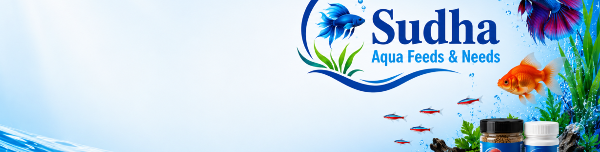 Store Banner