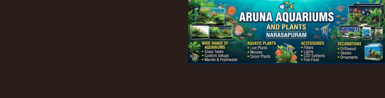 Store Banner
