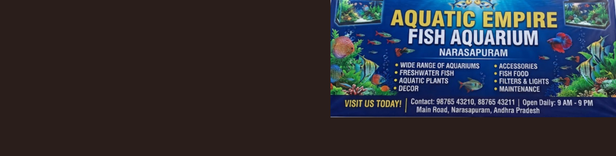 Store Banner