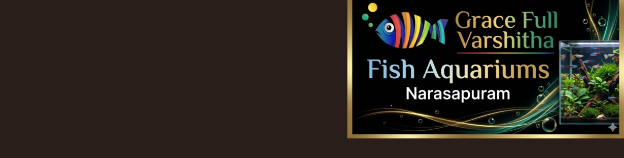 Store Banner