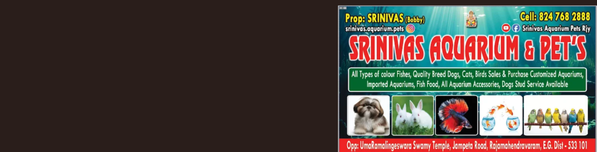 Store Banner