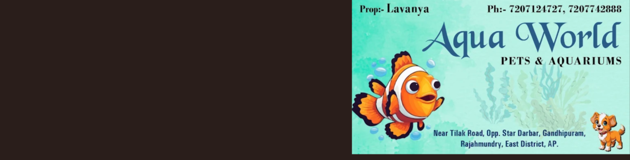 Store Banner