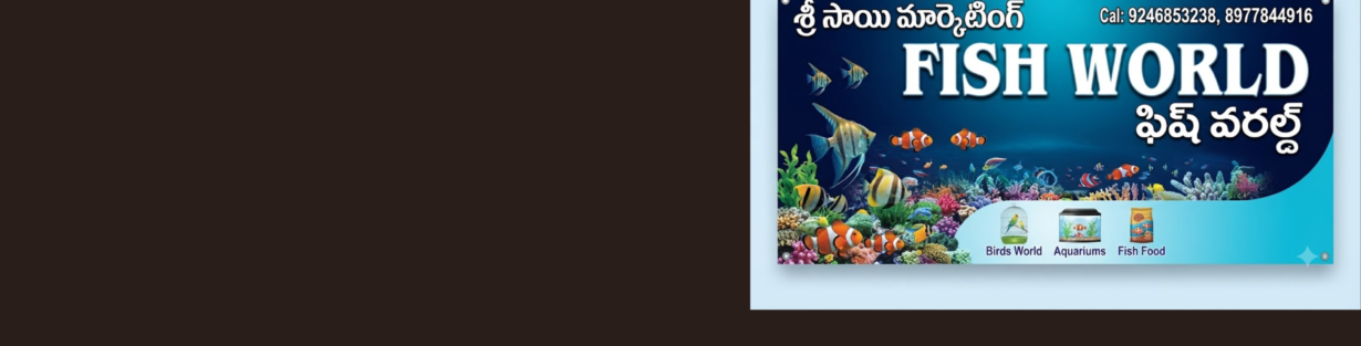 Store Banner