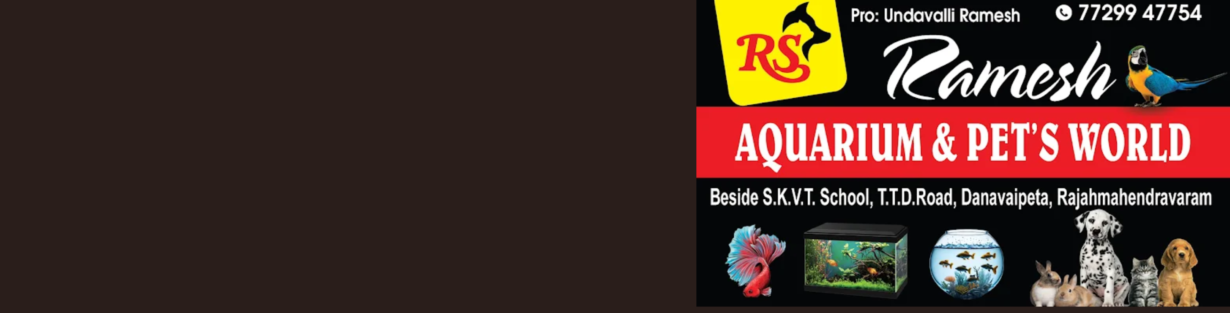 Store Banner