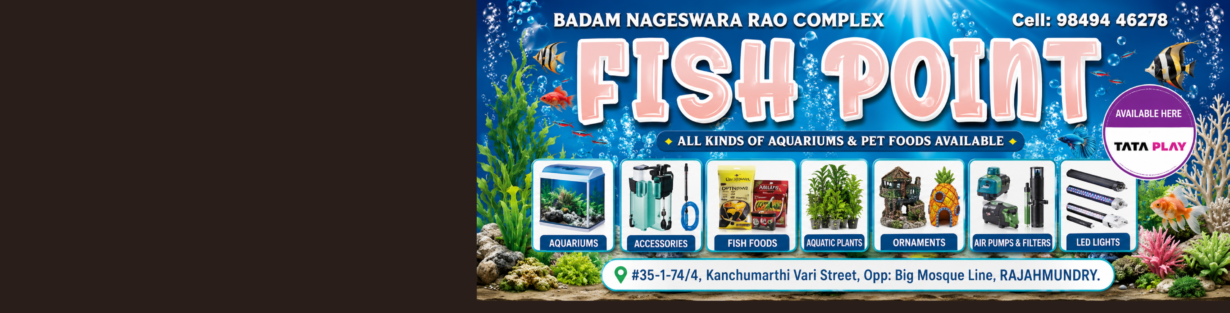 Store Banner