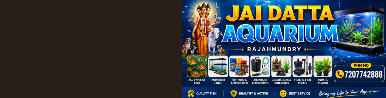 Store Banner