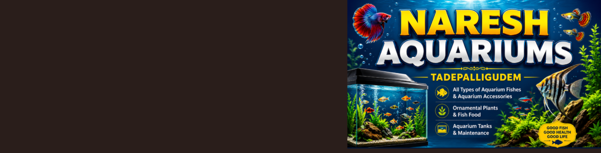 Store Banner