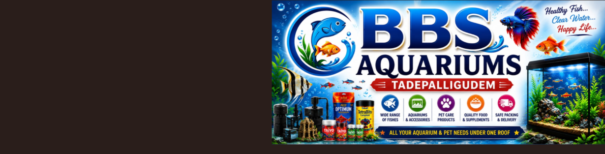 Store Banner