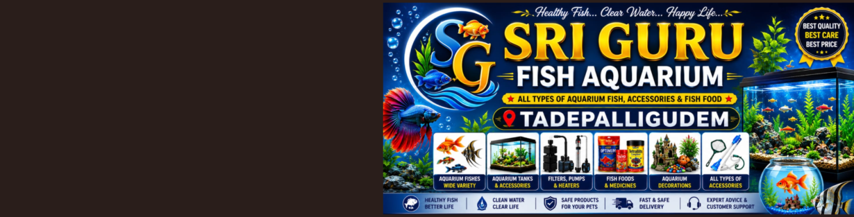 Store Banner