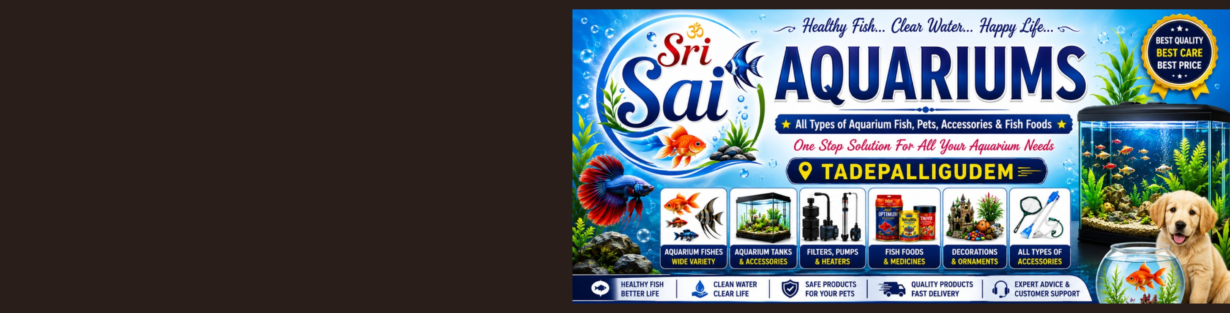 Store Banner