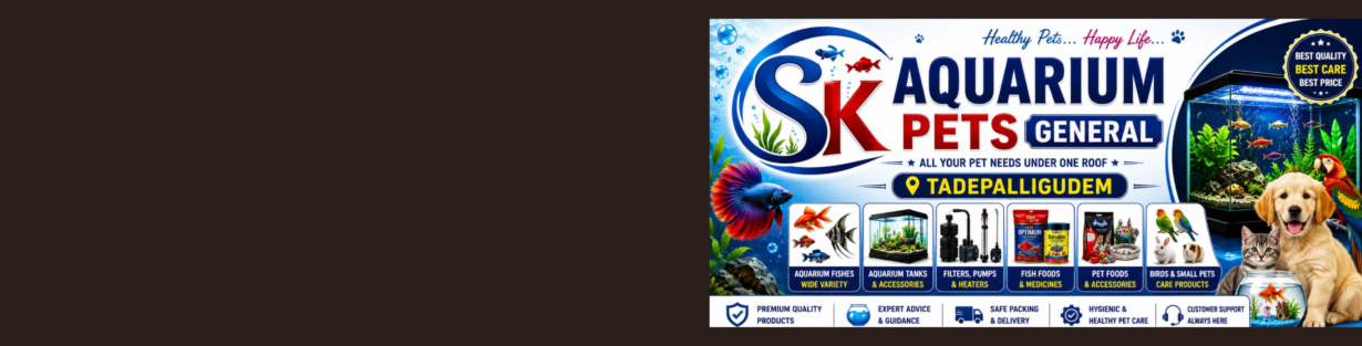Store Banner