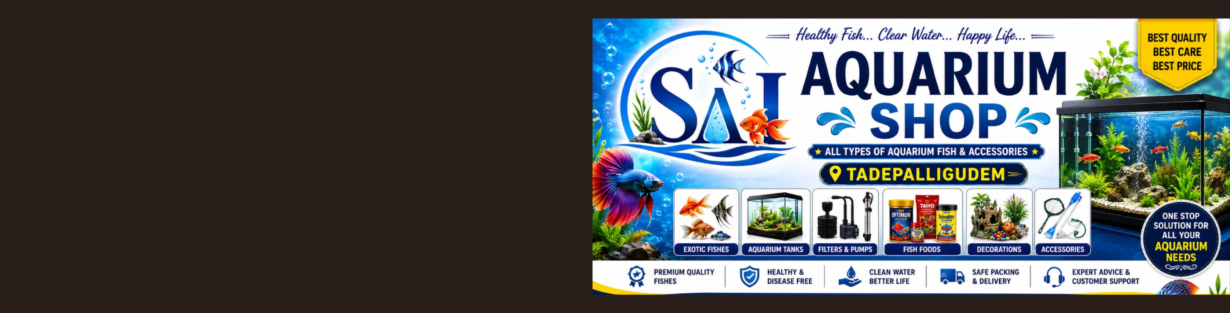 Store Banner