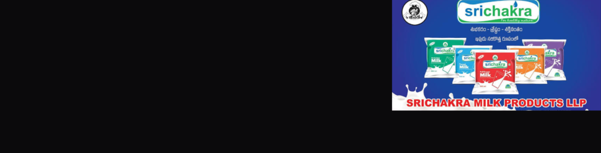 Store Banner