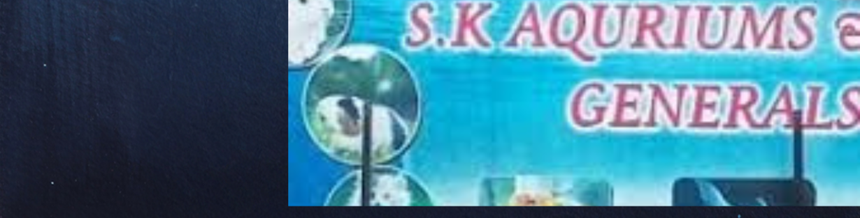 Store Banner