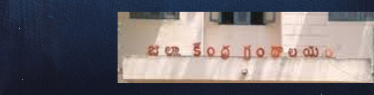Store Banner