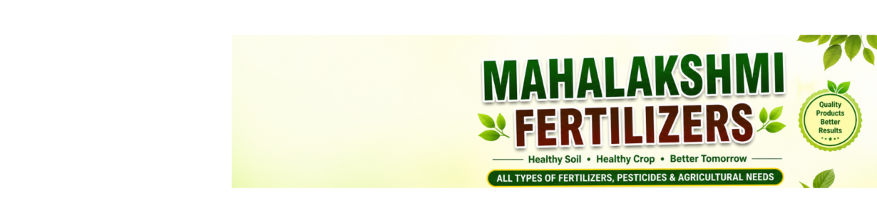 Store Banner