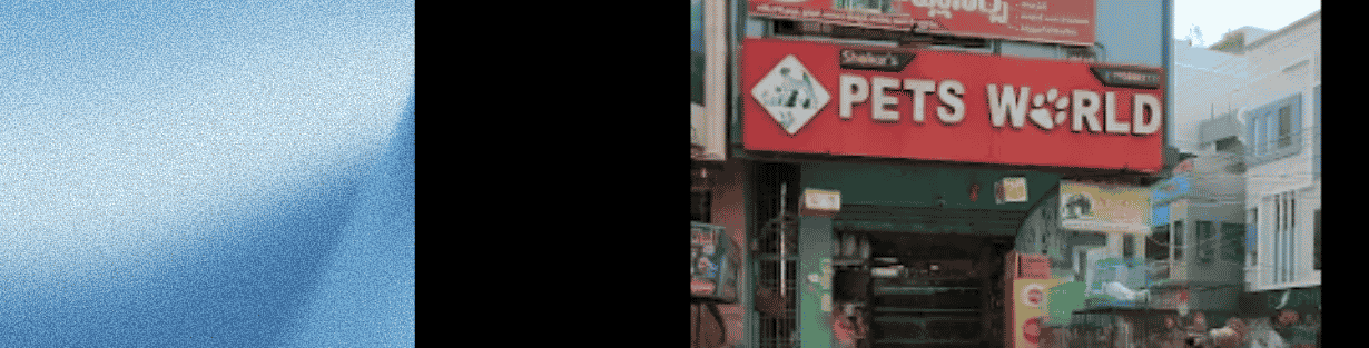 Store Banner