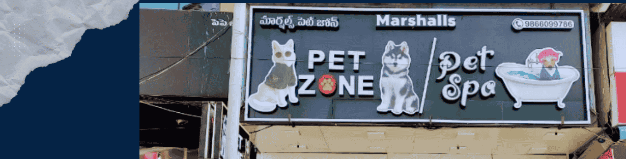Store Banner