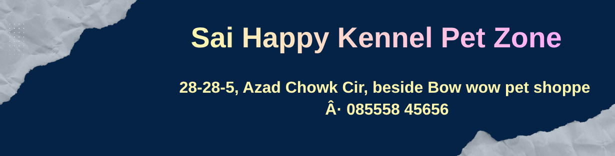 Store Banner