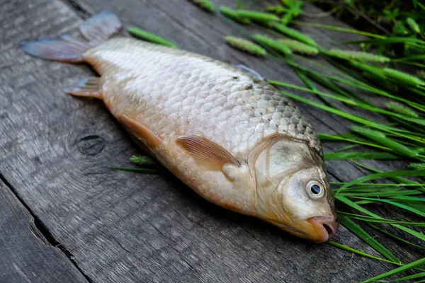 mbn White organic fish