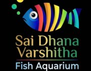 Store Logo