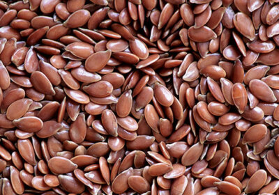 flaxseed-steven-foster-square-1