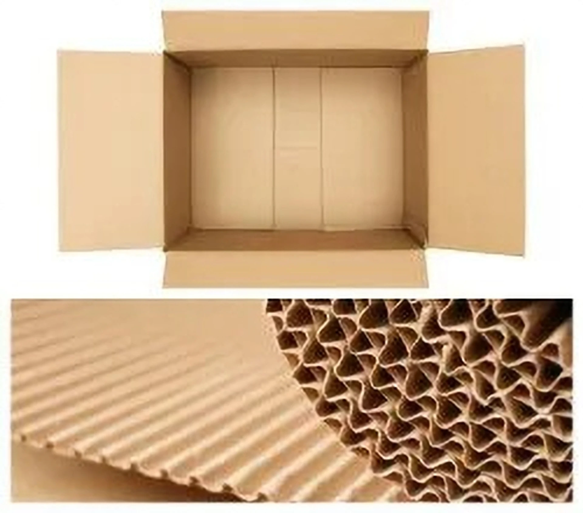Grow Packing Solution Corrugated Cardboard