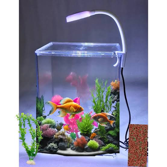 Stylish Plastic Fish Bowl, Multi-Purpose Nano Aquarium