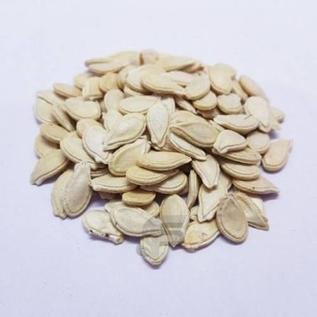 Dried And Cleaned Bottle Gourd Seeds