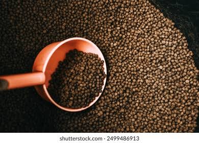 images-2026-07-02T152919.795