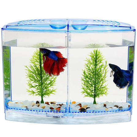 Animaux Betta Fish Tank with 2 Compartments