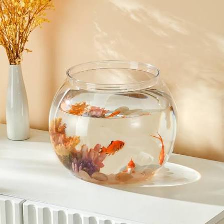 Clear Fish Bowl Plastic Desktop Aquarium Bowl Transparent Round Fish Tank