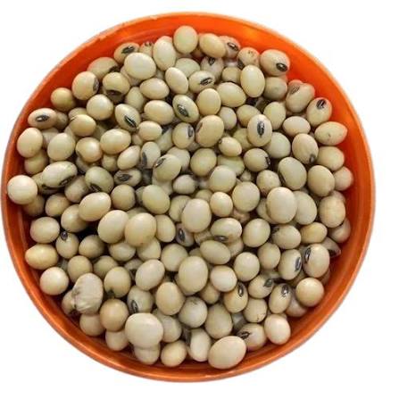 Natural Dry Soybean Seeds