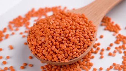 Lentil Seeds