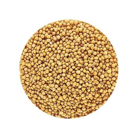 Mustard Seeds Yellow Germ Reduced Organic