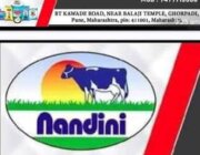 Store Logo