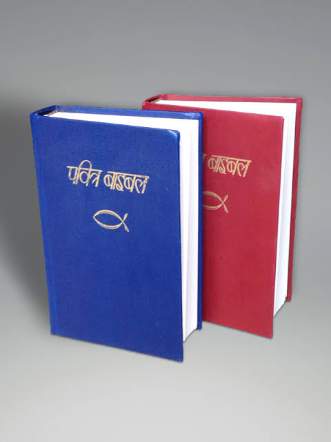 Hindi Bible