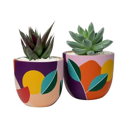 Pot Painting Kit