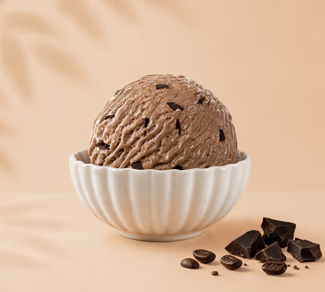 Mocha Fudge Ice Cream(