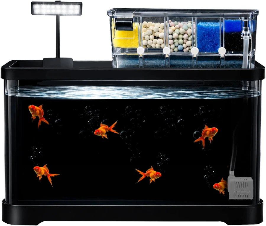 Buraq Pets Fish Tank