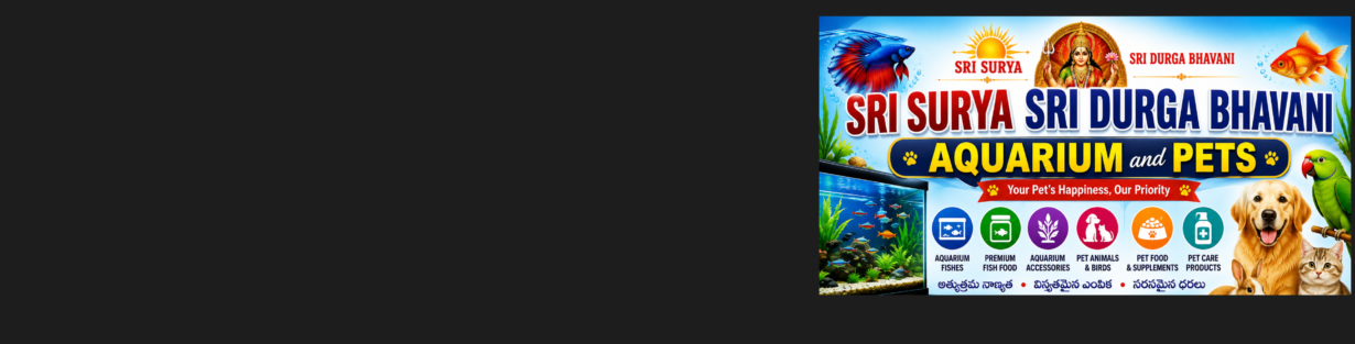 Store Banner